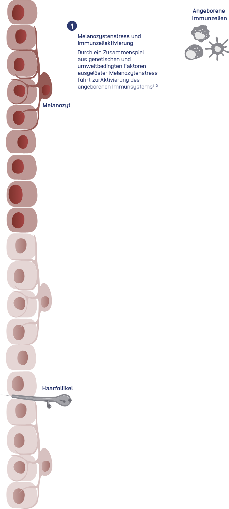 immuno-step-1